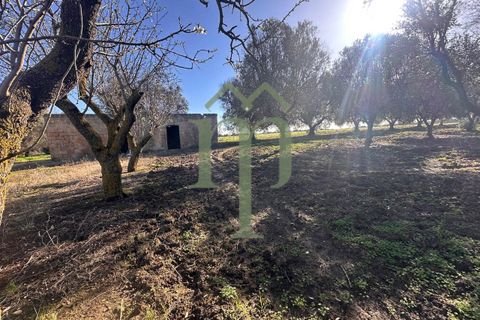 Ruinere i Brindisi, Brindisi, Brindisi - € 68.000 | Ref: Casolare Bern - foto 6